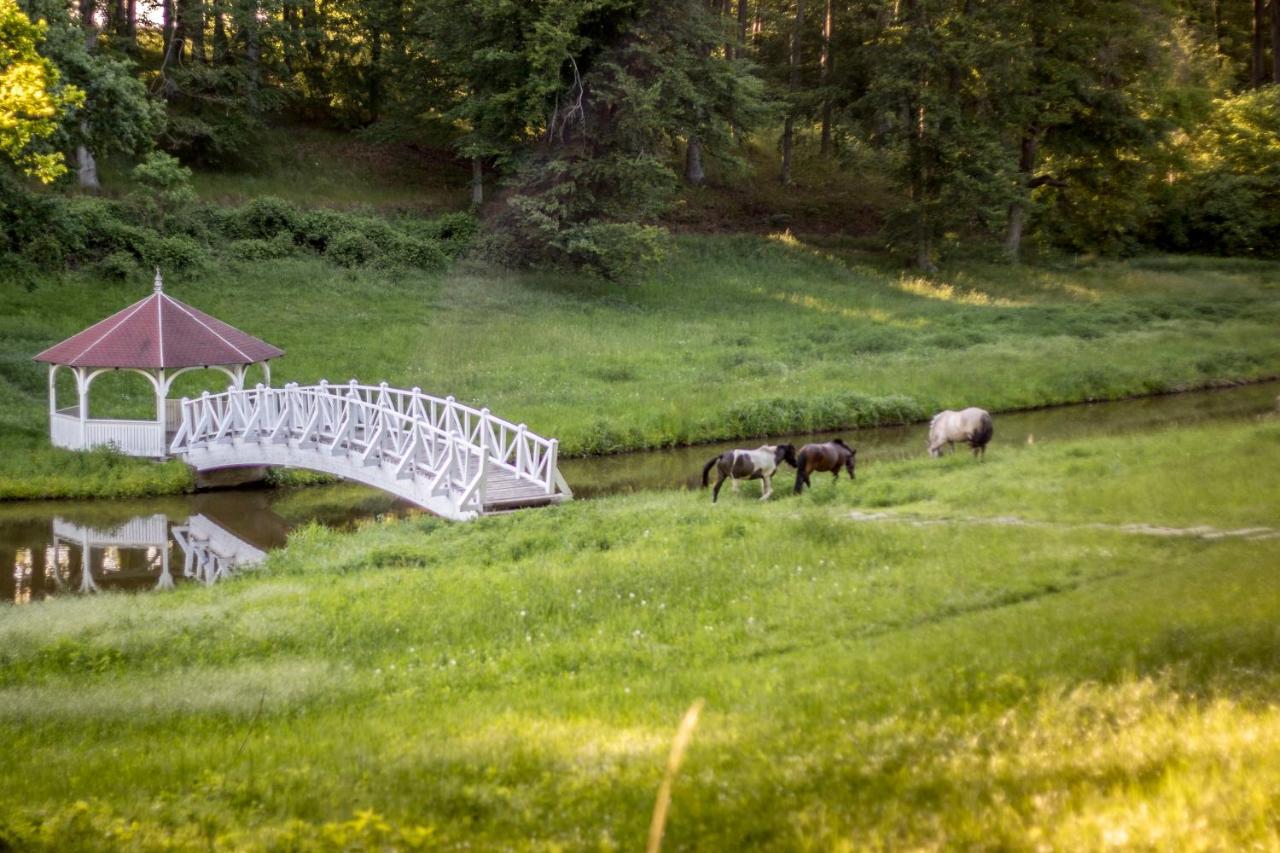 Palac Wąsowo Exterior foto