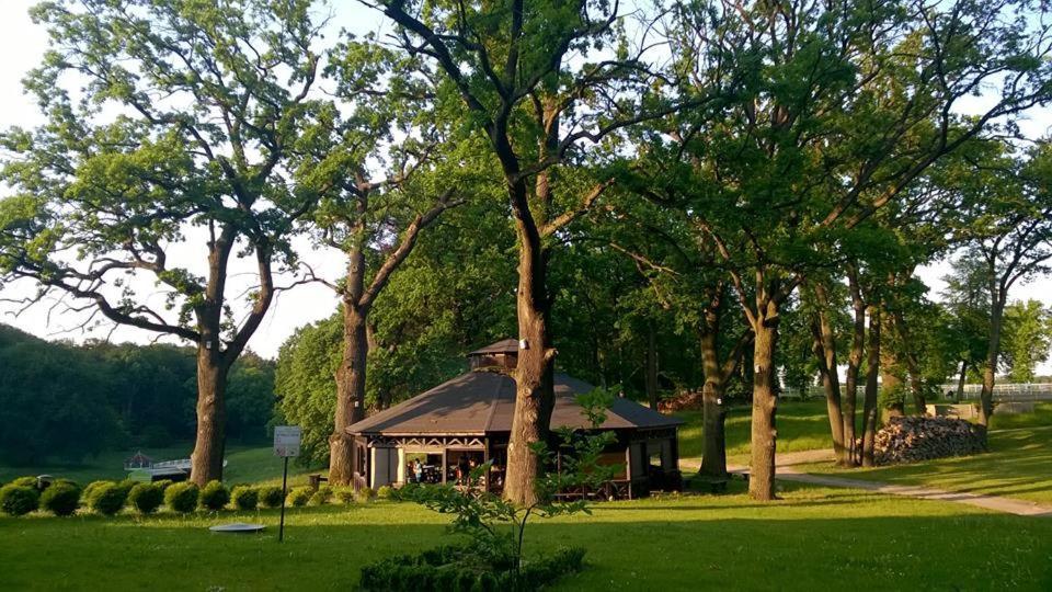 Palac Wąsowo Exterior foto