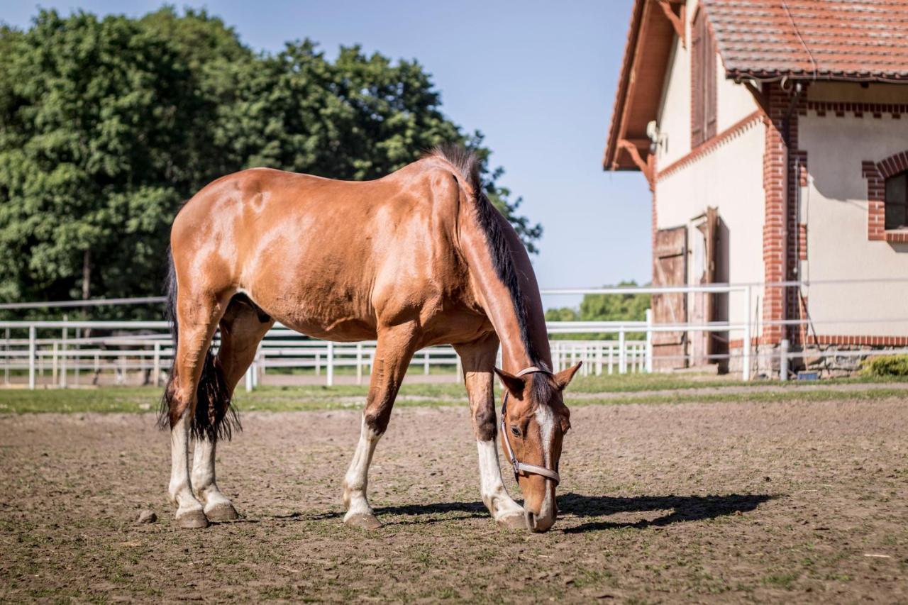 Palac Wąsowo Exterior foto