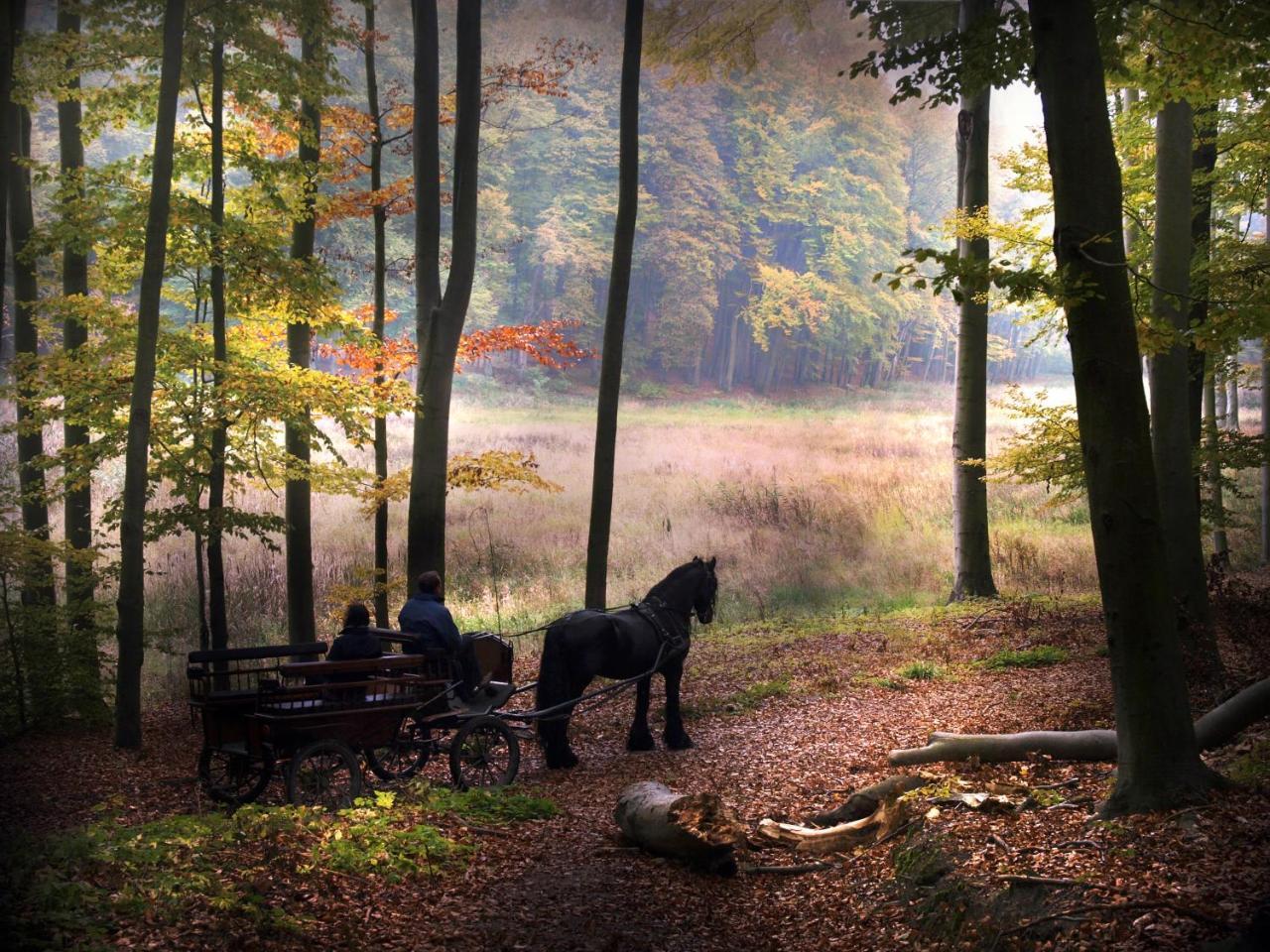 Palac Wąsowo Exterior foto